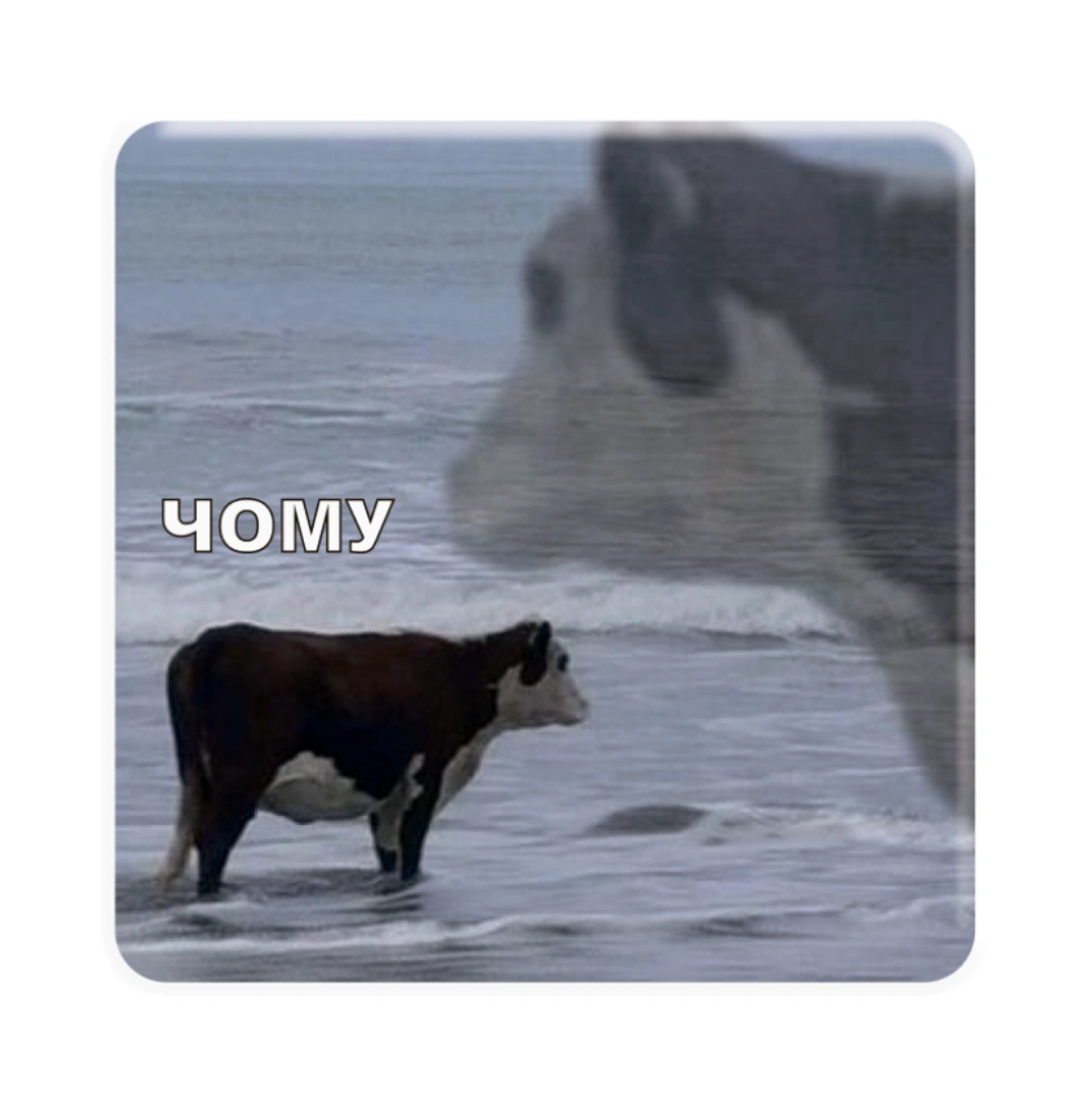 3D стікер «Чому?»