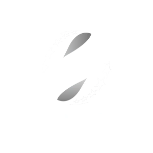 Зоря — Шахтар