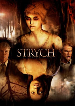 Strych — plakat