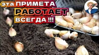 Серія 358