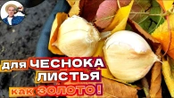 Серія 354
