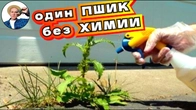 ВСЕ ОЧЕНЬ ПРОСТО: готовим действенное средство против сорняков