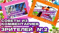 Советы и вопросы зрителей: обрезка старых деревьев и обработки абрикоса весной