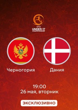 Черногория — Дания
