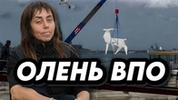 ОЛЕНЬ ВПО: Що ми покажемо на Бієнале в Венеції?