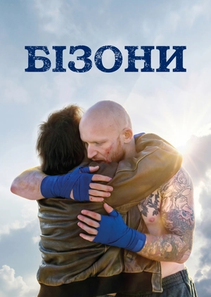Бізони