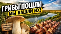 Серія 246