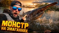 МОНСТР У ВОВКОВОМУ ОЗЕРІ ! КУБОК ВОВКОВОГО ОЗЕРА з лову форелі!