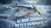 Судак з криги. Тестуємо ехолот Lowrance Eagle 9 EYE Live на великих глибинах