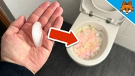 The (Secret) Toilet Cleaning Trick that almost NOBODY knows(But EVERYONE should know)
