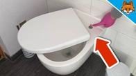 The Toilet Seat has a Function that 99% do NOT know about(Amazing)