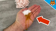 Your Hands have NEVER felt so Good(2 Secret Ingredients)