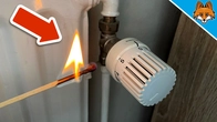 5 things you MUST do on your Radiator NOW(extremely important)