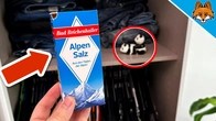 I put Salt for 3 Weeks in the Closet(Brilliant Result)