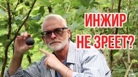 Серія 613
