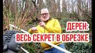 Серія 603