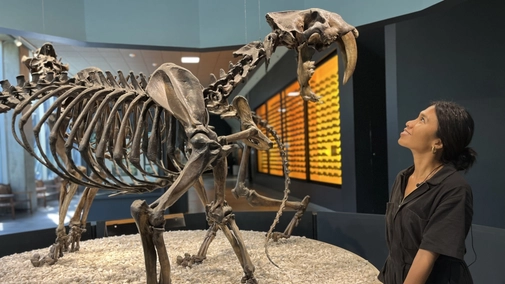 Lost Beasts: Unearthed