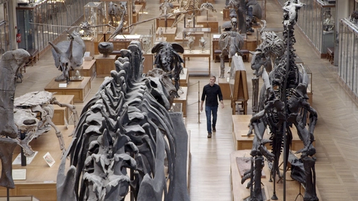 Time of the Giants