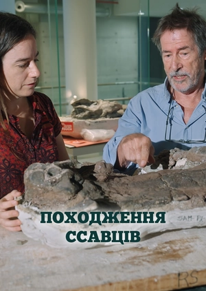Походження ссавців