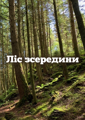 Ліс зсередини