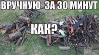 Серія 146