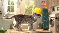 Cute Cat’s Holiday Adventure to Kitten’s Snowly! ️ Funny Animals stories with Fun Animated Kitten