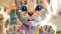 Little Kitten Adventure Cute Cat's HOLIDAYFun Adventure Pet Educational Video for Toddlers & Kids