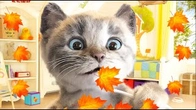 Kitten’s Purr-fect First Autumn Day's: A Cute Cat’s Sunny Adventure for preschoolers for kids