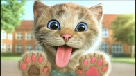 Cute Cat Rescue – Little Kitten Finds a Home | Advenrure Fun with Kitten & Friends | New Story