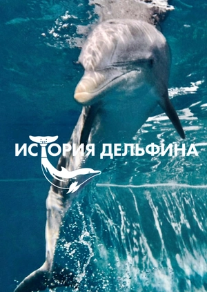 История дельфина