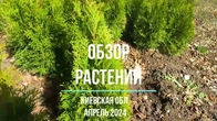 Обзор растений на апрель 24года.