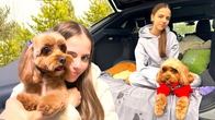 Мій день з Теффі Догляд Прогулянка ВЛОГ My little Nastya