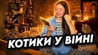 Котики та інші звіри в книгах про війну