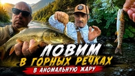 Ловля форелі в Карпатах у спеку: риболовля на ультралайт у гірській річці
