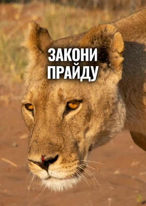 Закони прайду
