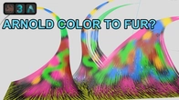 Learn How to Apply Color to Fur or Hair using Ornatrix/3ds Max/Arnold.