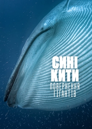 Сині кити: Повернення гігантів