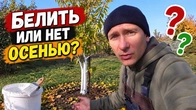 Серія 404
