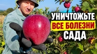 Серія 401