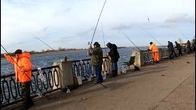 ДІЙШОВ ДО ПІРСА встрів старого друга