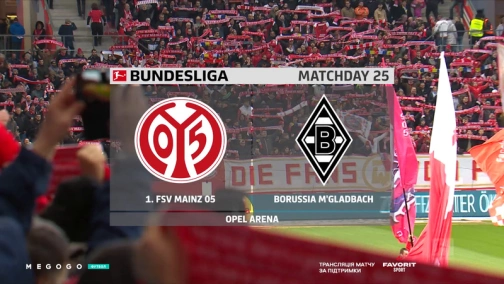 25 тур. Майнц — Боруссія Менхенгладбах 0:1. Огляд матчу