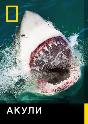 Акули