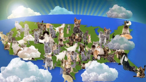 Серия 3. Невероятно пушистый