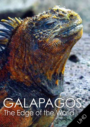Galapagos: The Edge of the World UHD