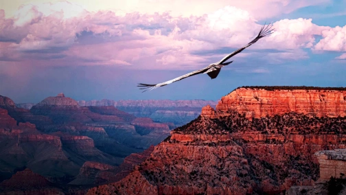 Юго-западная Америка: От Долины смерти до Великого каньона