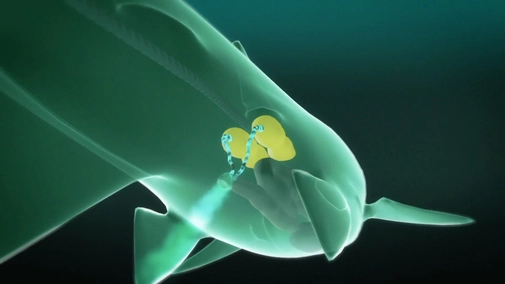 Alien Sharks: Greatest Hits