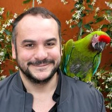 Francois-Xavier Demaison