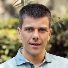 Domenico Diele