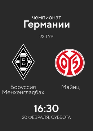 Round 22. Borussia Monchengladbach — Mainz. 1:2 Highlights