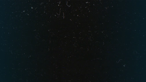 CS:GO. Sharks vs Havan Liberty